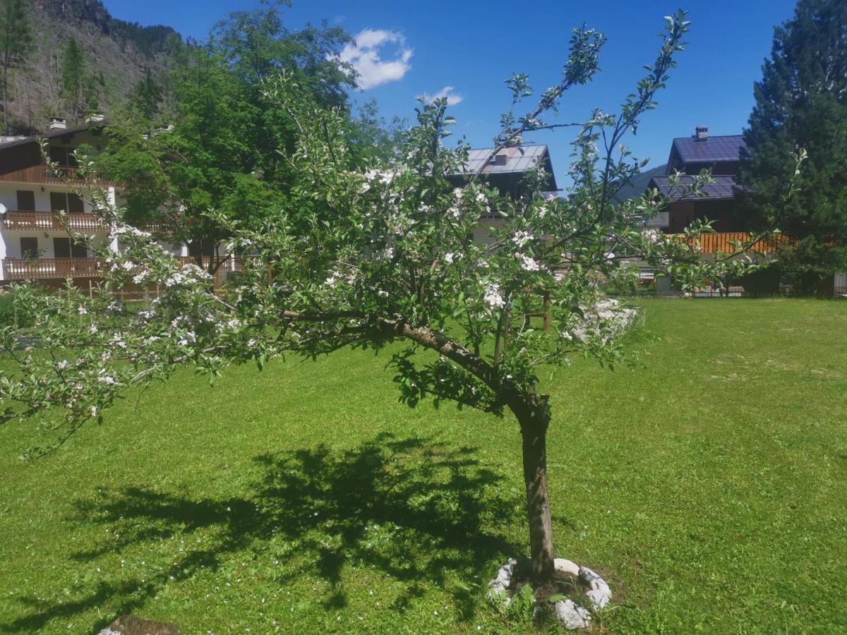 Hotel Rosalpina Rocca Pietore Eksteriør billede